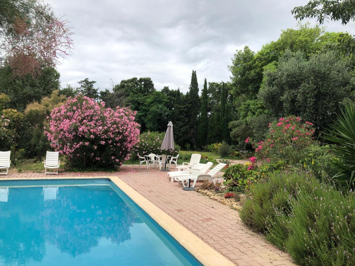 Duplex 130M2 Dans Un Mas Entoure De Vergers - Piscine Saint-Feliu-d'Avall Екстер'єр фото